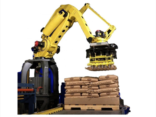 Multi-functional palletizing robot