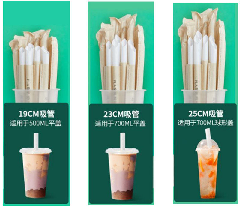 PLA biodegradable drinking straw making machine